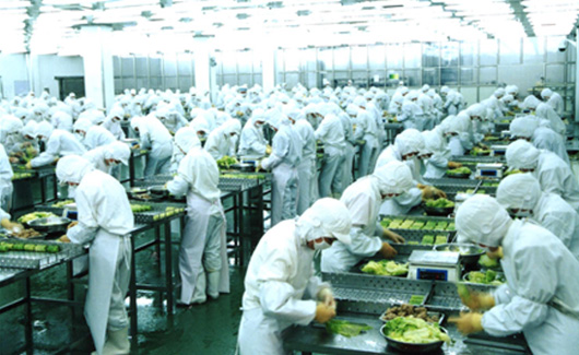 求索企業可持續 走進龍大，探訪生態農業產業鏈中的農產品生產